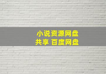 小说资源网盘共享 百度网盘